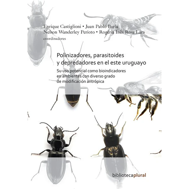 Polinizadores, parasitoides y depredadores en el este uruguayo
