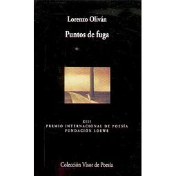 Puntos de fuga