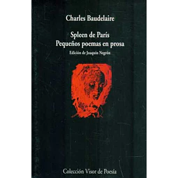 Spleen de paris - Pequeños poemas en prosa