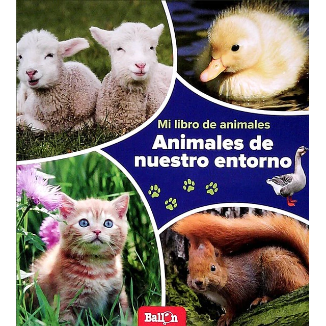 Animales de nuestro entorno