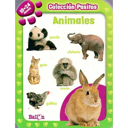 Animales. 18 - 24 meses