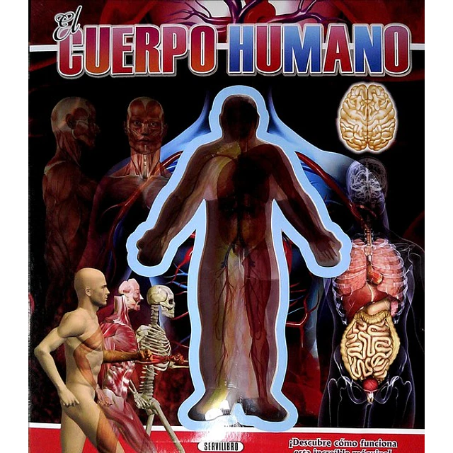 El cuerpo humano
