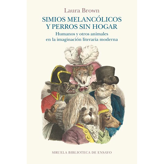 Simios melancolicos y perros sin hogar