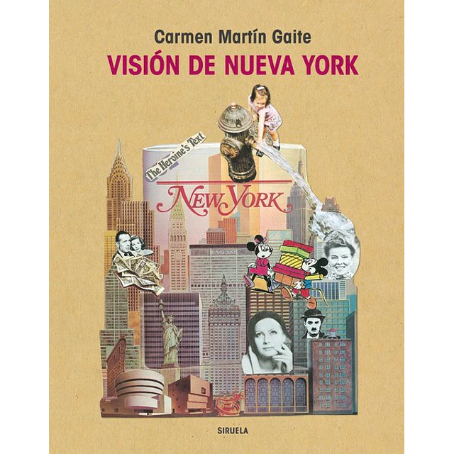 Vision de nueva york