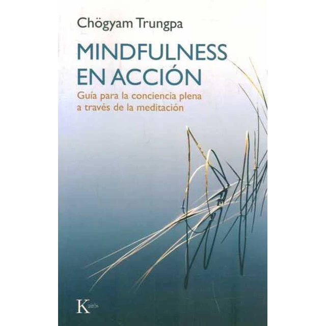 Mindfulness en accion
