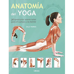 Anatomia del yoga