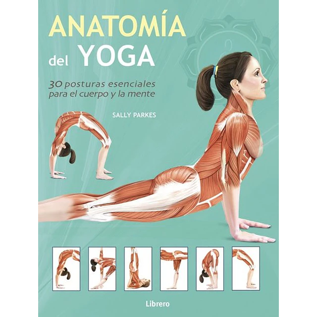 Anatomia del yoga