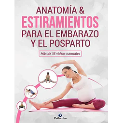 Anatomia & estiramientos para el embarazo y el posparto