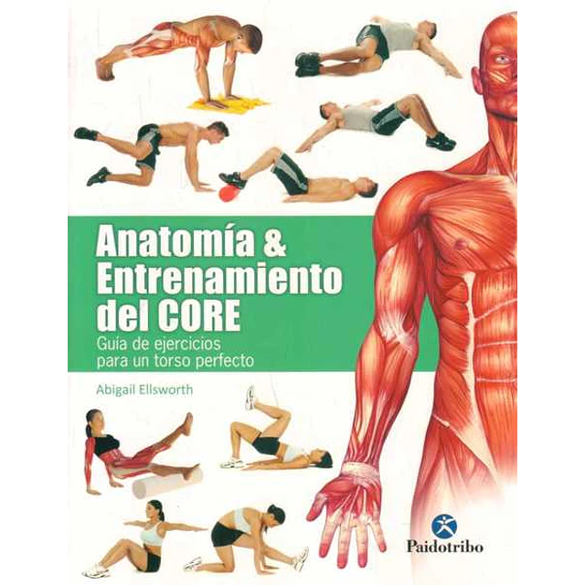 Anatomia y entrenamiento del core