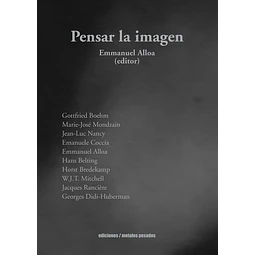 Pensar la imagen