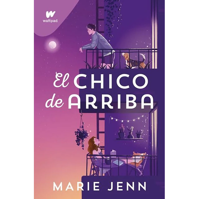 El chico de arriba