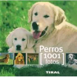 Perros. 1001 fotos
