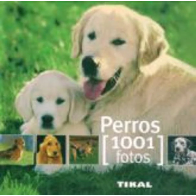 Perros. 1001 fotos