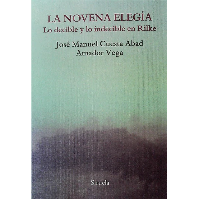 La novena elegia
