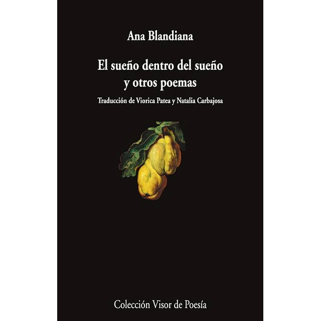 El sueño dentro del sueño y otros poemas