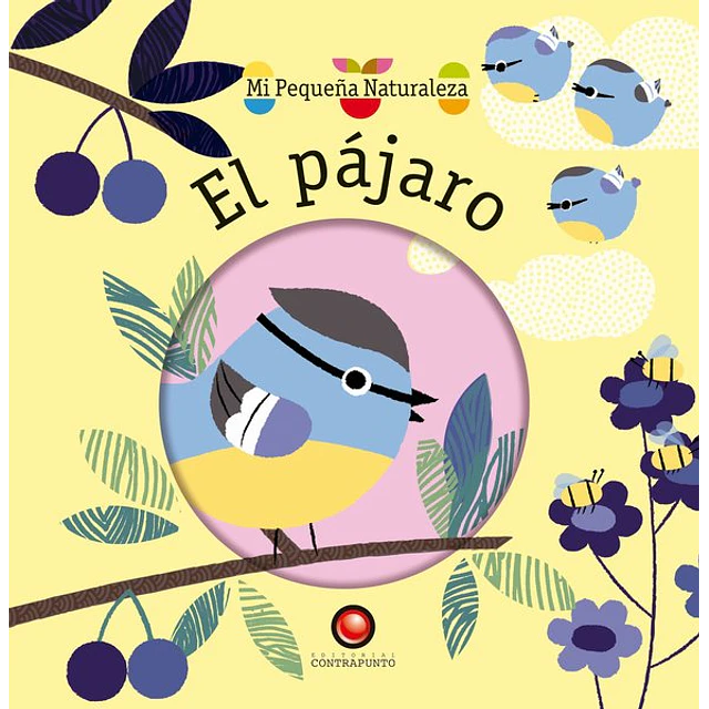 El pajaro. Mi pequeña naturaleza
