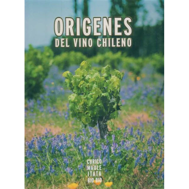 Origenes del vino chileno