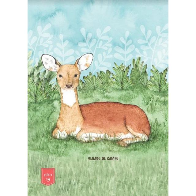 Cuaderno. Animales uruguay