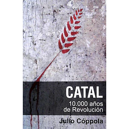 Catal 10000 años de revolucion