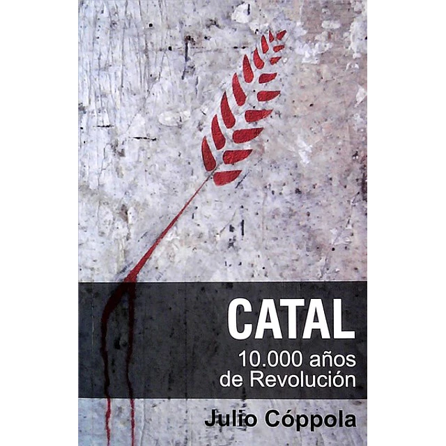 Catal 10000 años de revolucion