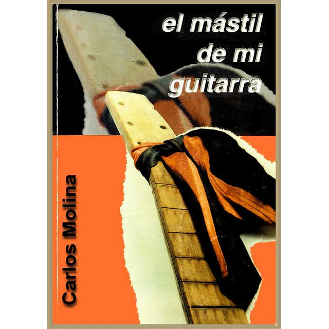 El mastil de mi guitarra