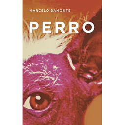 Perro