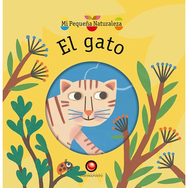 El gato. Mi pequeña naturaleza