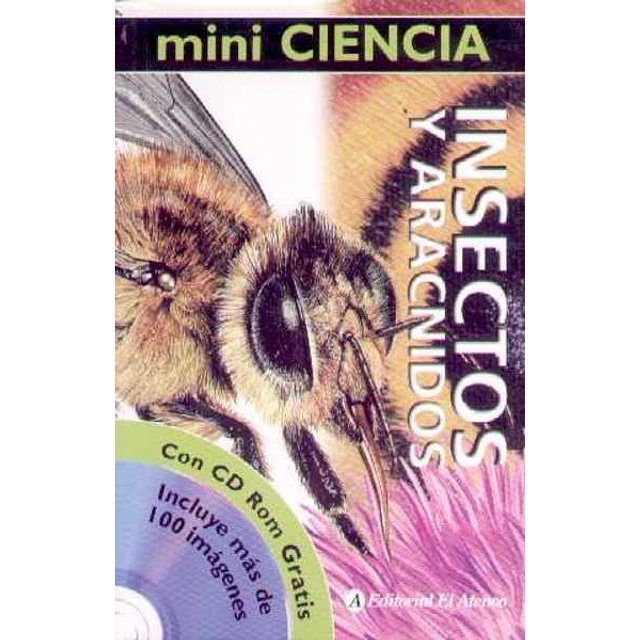 Mini ciencia. Insectos y aracnidos