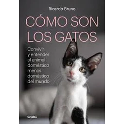 Como son los gatos?