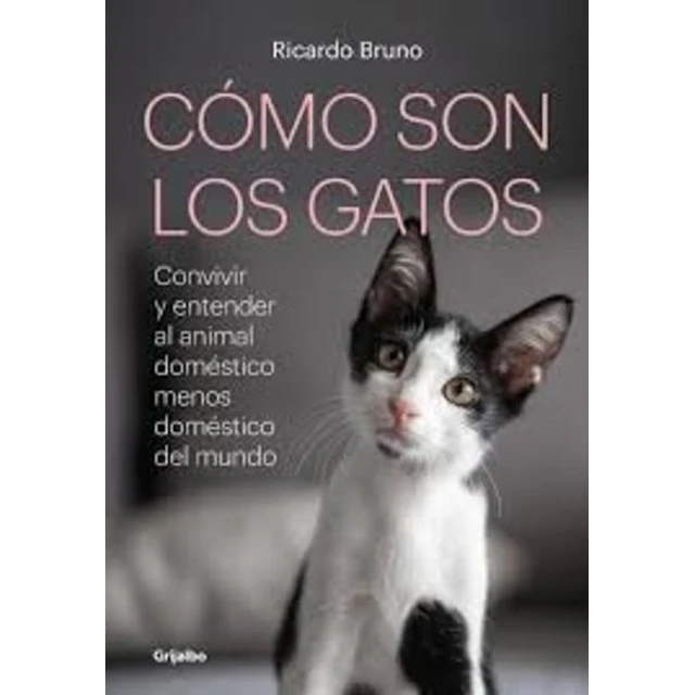 Como son los gatos?