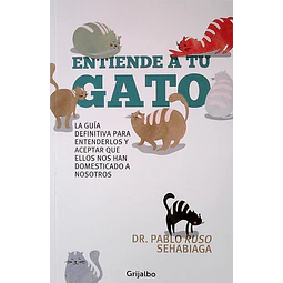 Entiende a tu gato