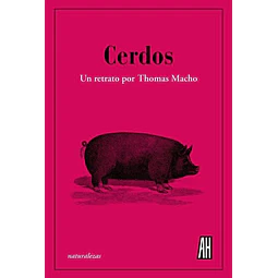 Cerdos. Un retrato por thomas macho