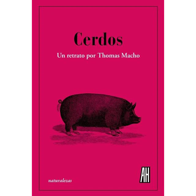 Cerdos. Un retrato por thomas macho