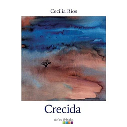 Crecida