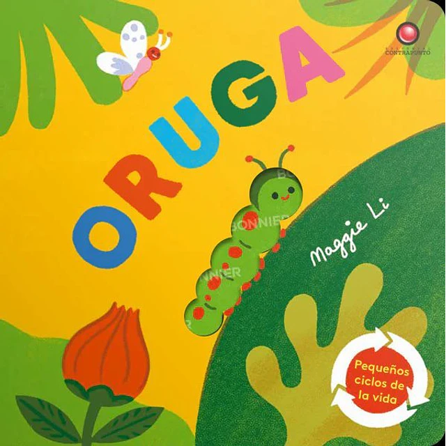 Oruga. Pequeños ciclos de la vida