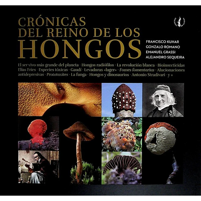 Cronicas del reino de los hongos