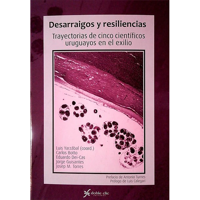 Desarraigos y resiliencias