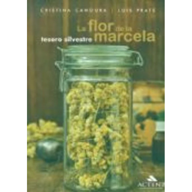 La flor de la marcela