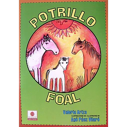 Potrillo foal