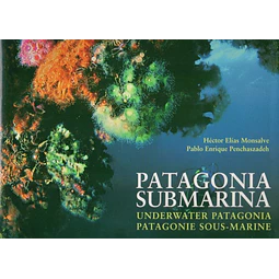 Patagonia submarina