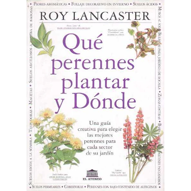 Que perennes plantar y donde