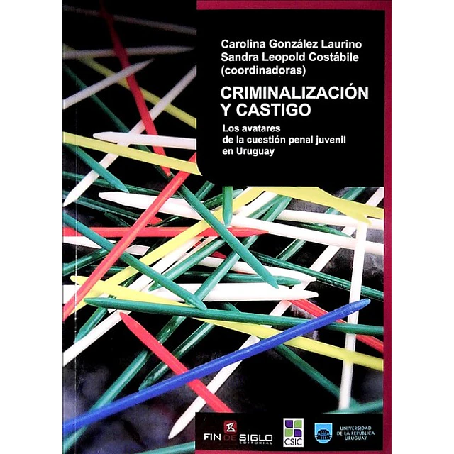 Criminalizacion y castigo