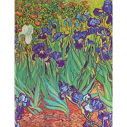 Van gogh s irises grande sketchbook