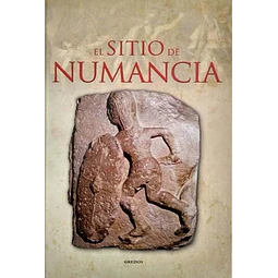 El sitio de numancia