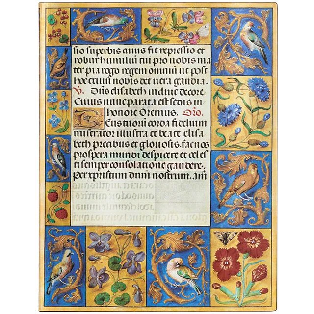 Ancient illumination spinola haours ultra liso flexible