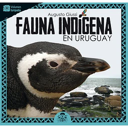 Fauna indigena en uruguay. Turquesa