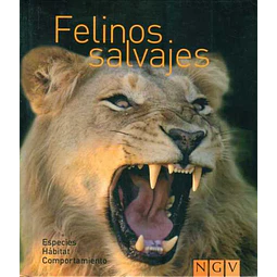 Felinos salvajes