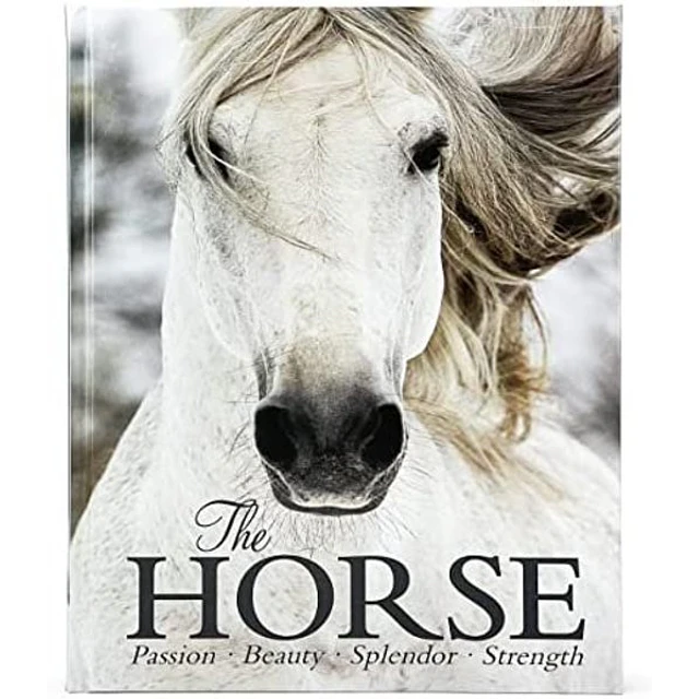 The horse