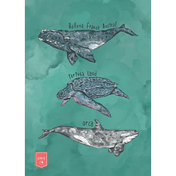 Cuaderno. Oceano uruguay