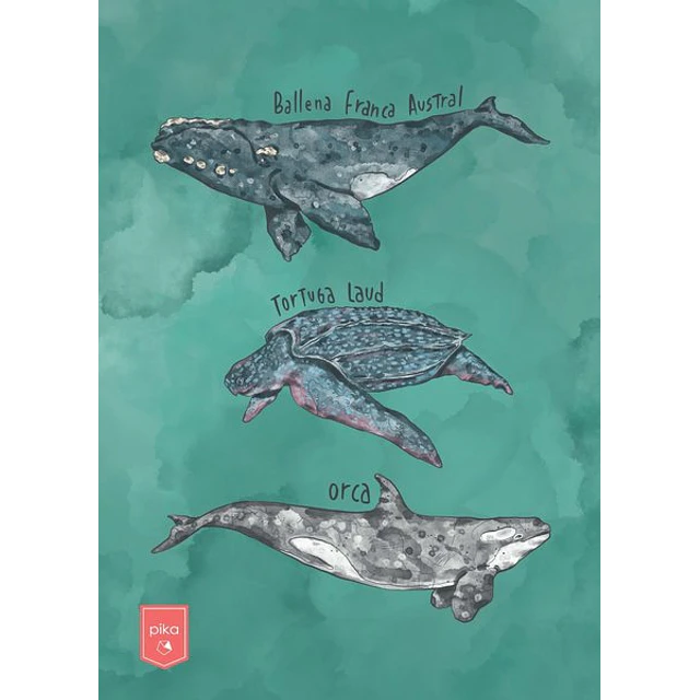 Cuaderno. Oceano uruguay